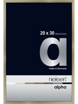 Alpha Acier brossé 20 x 30 cm