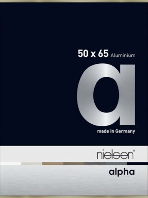 Alpha Acier brossé 50 x 65 cm